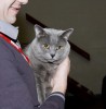IMG_8775