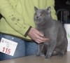 IMG_8834
