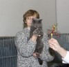 IMG_8847