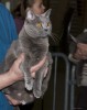 IMG_8857