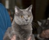 IMG_8858