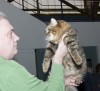 IMG_8871