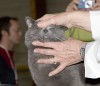 IMG_8884