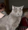 IMG_8898