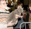 IMG_8930