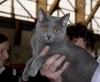 IMG_9101