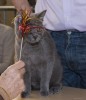 IMG_9126