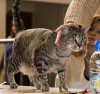 IMG_9156