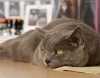 IMG_9201