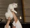 IMG_9301