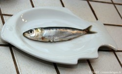 Sardine frache dans un plat