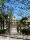 031-jardin-tuileries_8288